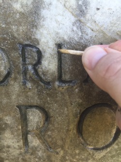 cemeteryconservation: Using bamboo skewers to clean the moss and lichen out of recessed lettering and carvings. 