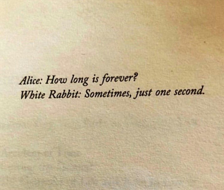Featured image of post Book Lover Quotes Tumblr - Quotes from books tumblr google search book quotes happy love quotes inspirational words of wisdom.