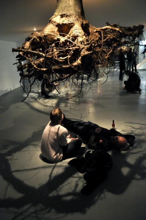 epruitt: Artist Giuseppe Licari Entitled: Humus, Secret Gardens (2012),Tent Rotterdam. A s