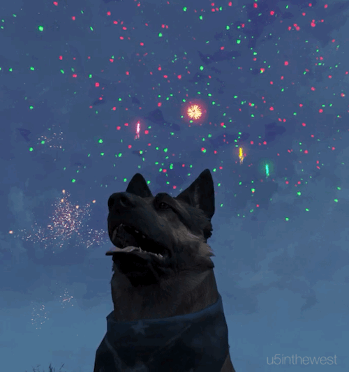 HAPPY NEW YEAR. Let’s celebrate the year of the dog!