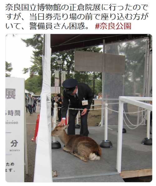 highlandvalley:  https://twitter.com/yasuyo_/status/1056122903773642753/photo/1