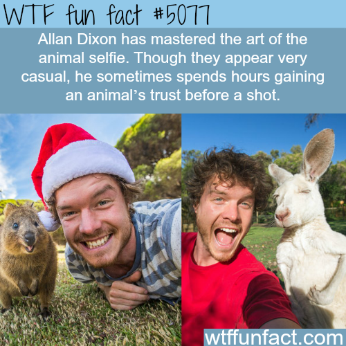 wtf-fun-factss:   Allan Dixon and the art of animal selfie - WTF fun facts 