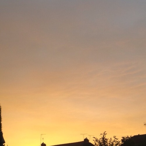 softbel: sunsets make me happy ☀️ follow me on insta: peachybelinda