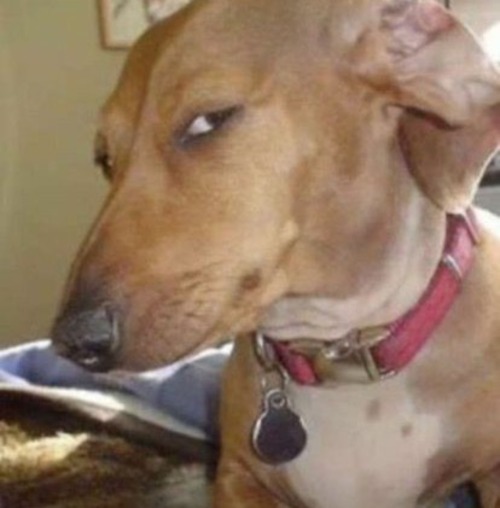 Me Thinking What My Diss Tracks In My Dr Are Going To Be About Since I Scripted Every Social Problem