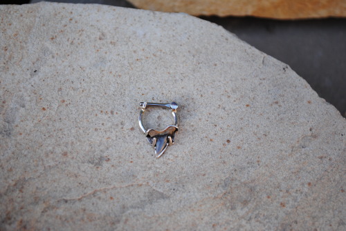 Custom Silver Septum piece w/fossilized shark tooth and niobium hinge.by Honeycomb Organics