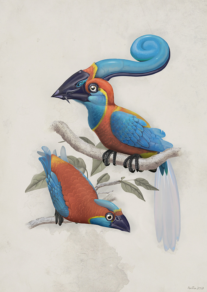 nokknokk:   Imaginary Ornithology is a sound artwork at Burrinja Cultural Centre where