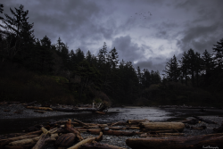 garettphotography:Ruby Beach - October 31st,