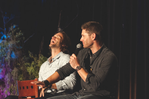 grumpyjackles: these two are adorable. it’s so funny to watch them try to make each other laugh &am