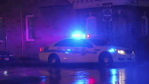 LAPD car мигалки