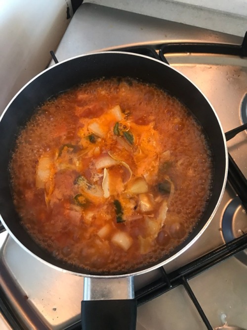 오늘은 고추장 찌개에 카레 그리고 어제 무친 시금치무침 ㅎㅎ