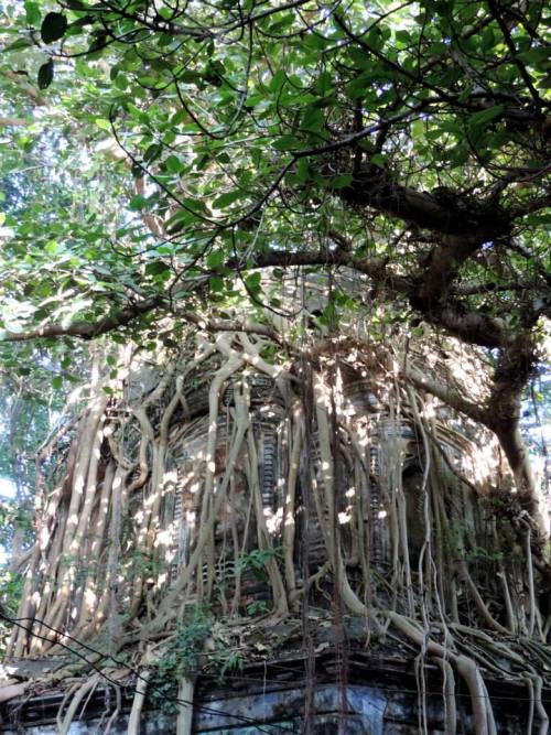 Pora maa tola .the ancient seat of shakti worship of Nabadwip . Pora Maa , the goddess of the city a