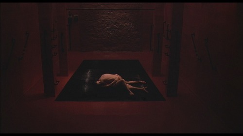 neo-catharsis: Videodrome, David Cronenberg, 1983