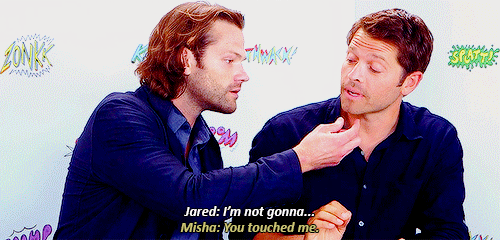 aborddelimpala:  starsmish:  Do not touch me! We are all Jared (●´∀｀●)