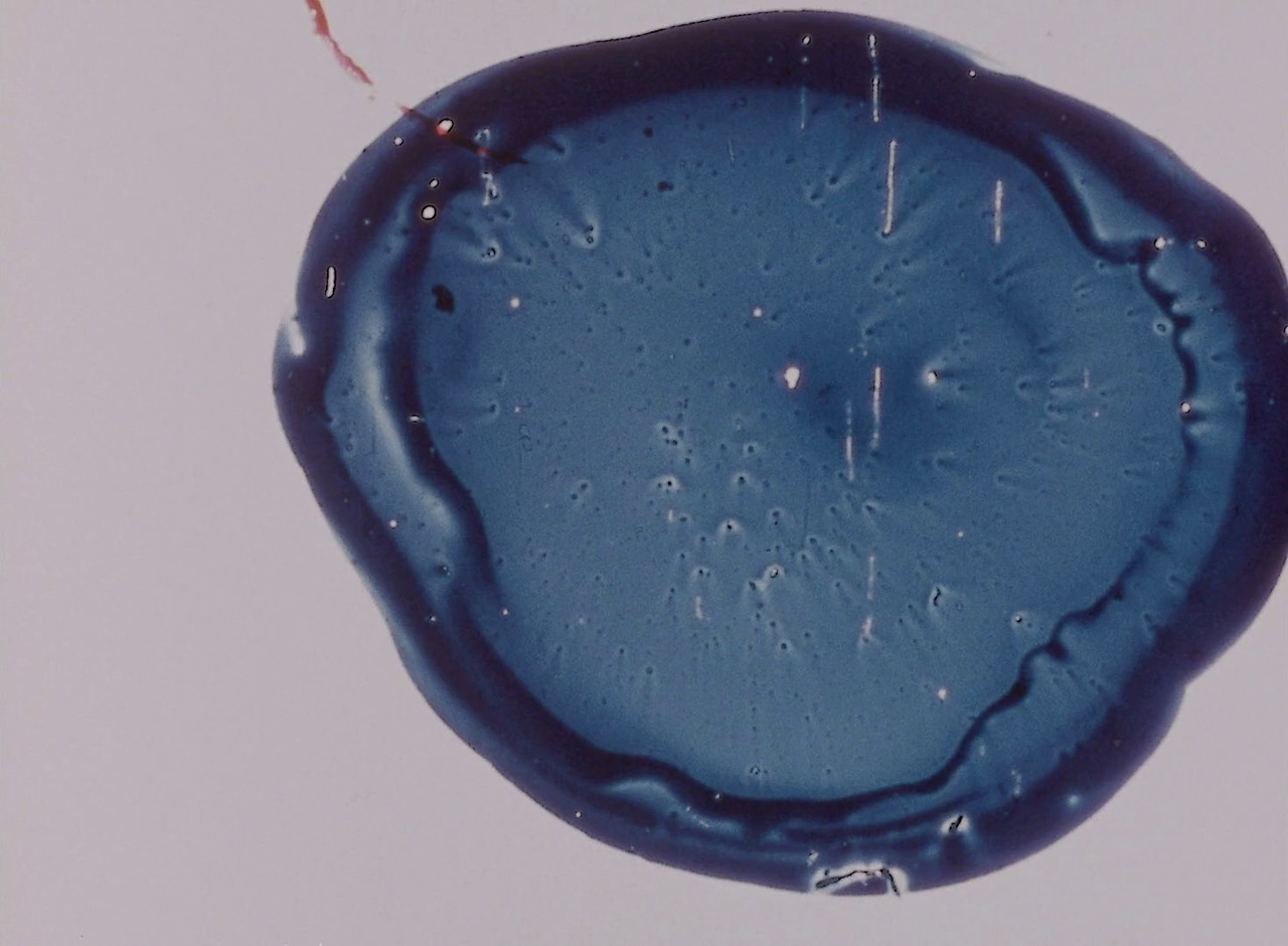 shihlun: Jonas Mekas  - Report from Millbrook  1966 