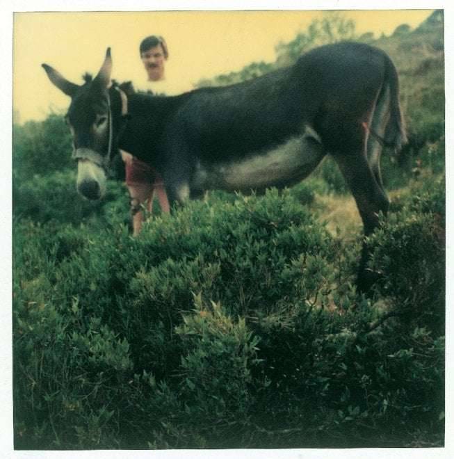 nobrashfestivity:Andrei Tarkovsky