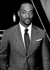 XXX sbstianstan:  Anthony Mackie at the European photo