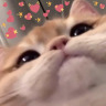 wishfulsuggestions: concept: we watch the sunset and you hold me gently in your arms