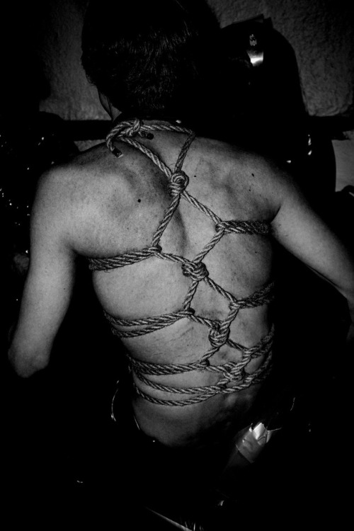 leinslada:Arctic Grit. Photo &amp; Copyright Cato Lein