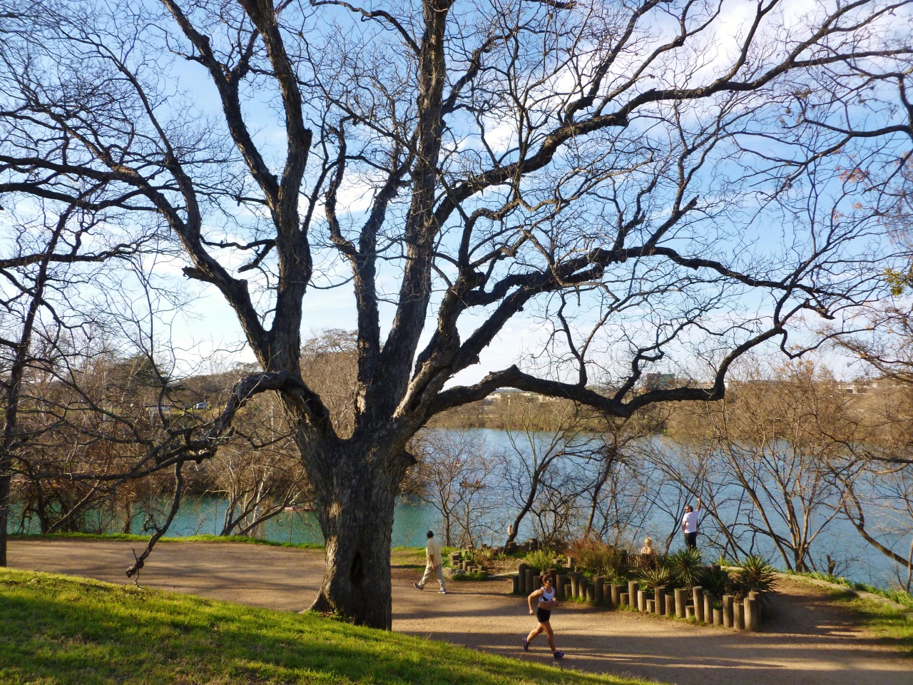 timothymcvainlives:  Austin, Texas 2014 Part Two