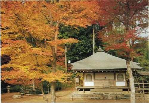 crazyfox-archives: A view of the Kaisandō Hall (開山堂) on the grounds of Kōzanji Temple (高山寺) up in no