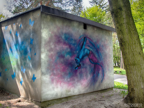 Cat’s backflip Mural designed and painted by Katarzyna Czerniawska on the shed wall in Park So