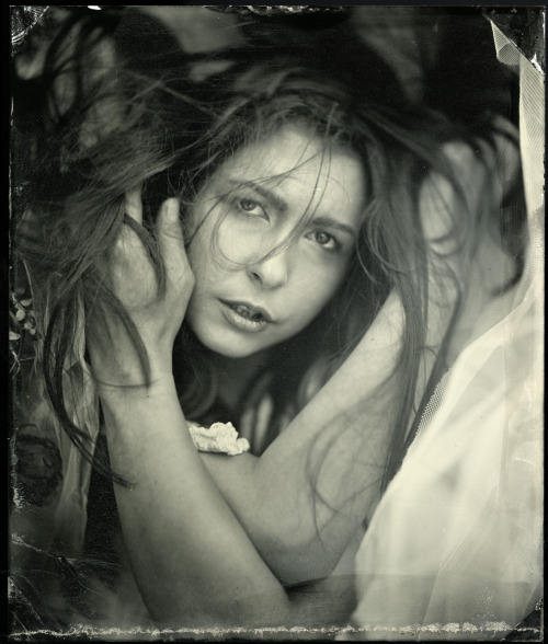 melissatroutt:  marksink:  Melissa Troutt  Wet Plates!! LOVE this series! By Mark Sink in Denver, March 2013