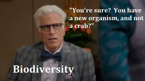 forestshine:starshiphufflebadger:The context:  Crabs and crab-like body plans have evolved independe