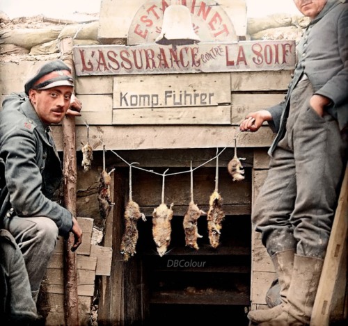 German soldiers posing in front of a dugout with rats they caught in their trench and with captured 