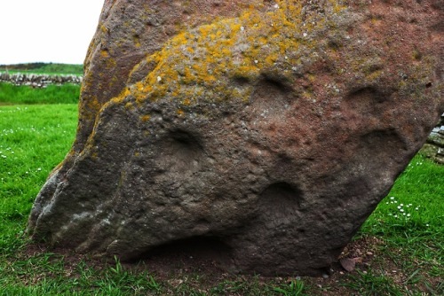 The Serpent Stone, Aberlemno Pictish Stones, Aberlemno, Angus, 20.5.18.On the front of this stone is