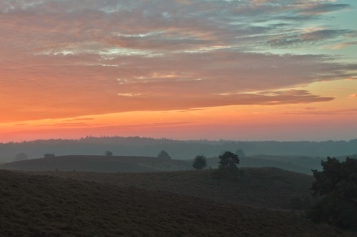 Veluwe. Fun.