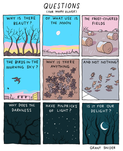 incidentalcomics: Questions(for Mary Oliver)