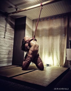 sebkinbaku: Nouvelle photo shibari Seb Kinbaku