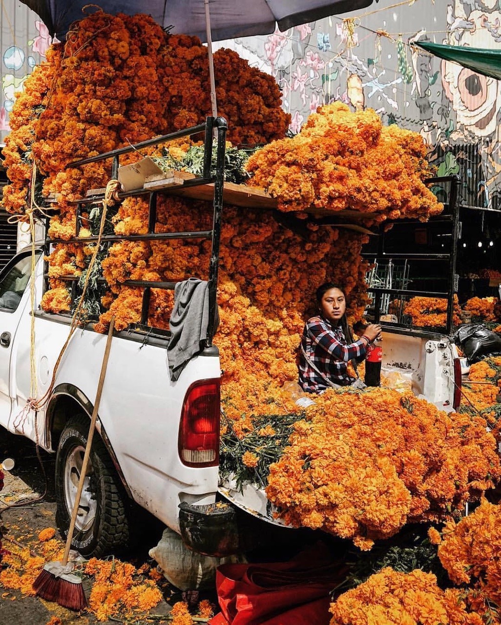 vivalatinamerica:  Mexico City, Mexico | Joseph Owen Marigolds for Día de los Muertos