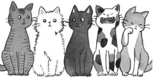Cats Are Cute. Bye.
