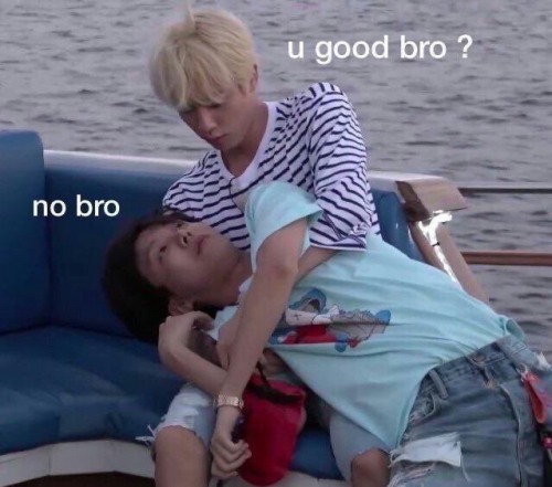 Who Told Me It Was A Good Idea To Go Back Through All The CIX Concert Posts On Twitter/tumblr