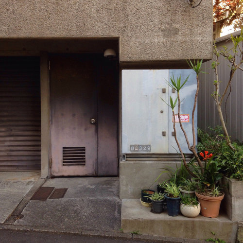 dontrblgme2:  東京植木鉢 TokyoPottedGardens (via Nemury) 