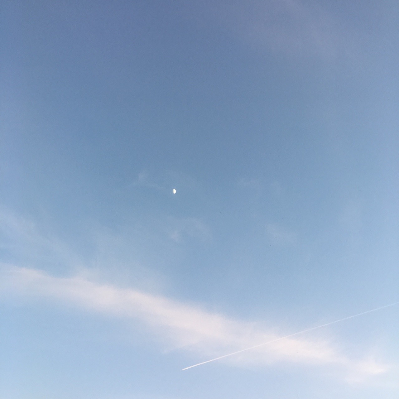 purrfectpeach:  Skies of May ‘17