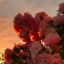 deepestpsychicturtleoperato-blog