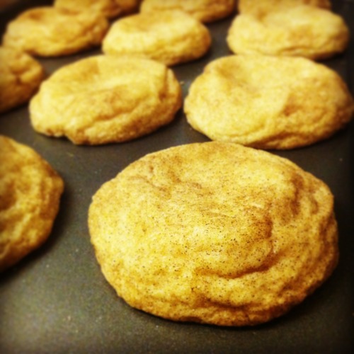 Craving these Snickerdoodles I made a few months ago. 
