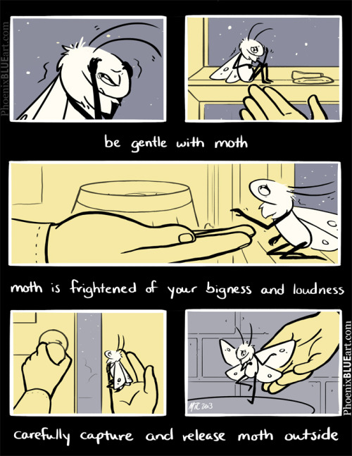 sharped0: thegiverstake: breakcorechoirboy: phoenixblueart: Be Kind to Moth A short comic based on t