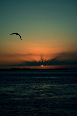 brutalgeneration:  as the sun sets (by CarinaMcKee)
