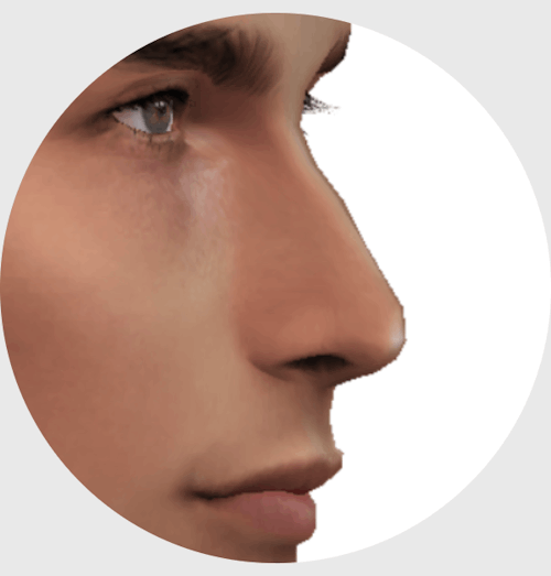 pirumxsim: Slider 19Bony nose effect for each frame- Control available on chin(detail mode)- Teen to