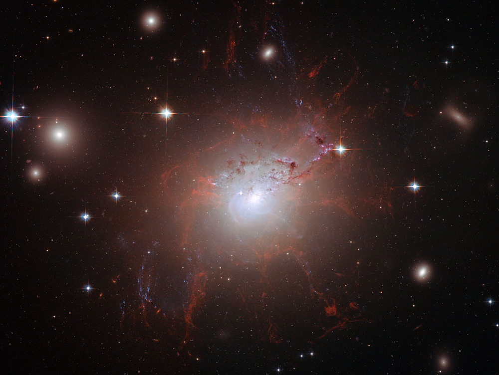 astronomicalwonders:  sci-universe:This image provides amazing detail of the filamentary