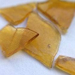 normdabs:  Tangie x Jack H 🍊🍬