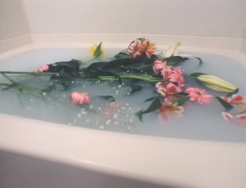 filmcat: A Silent Day (Takashi Ito, 2002)