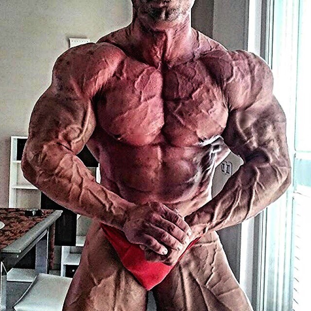 muscleroidaddict:  Mattia Vecchi