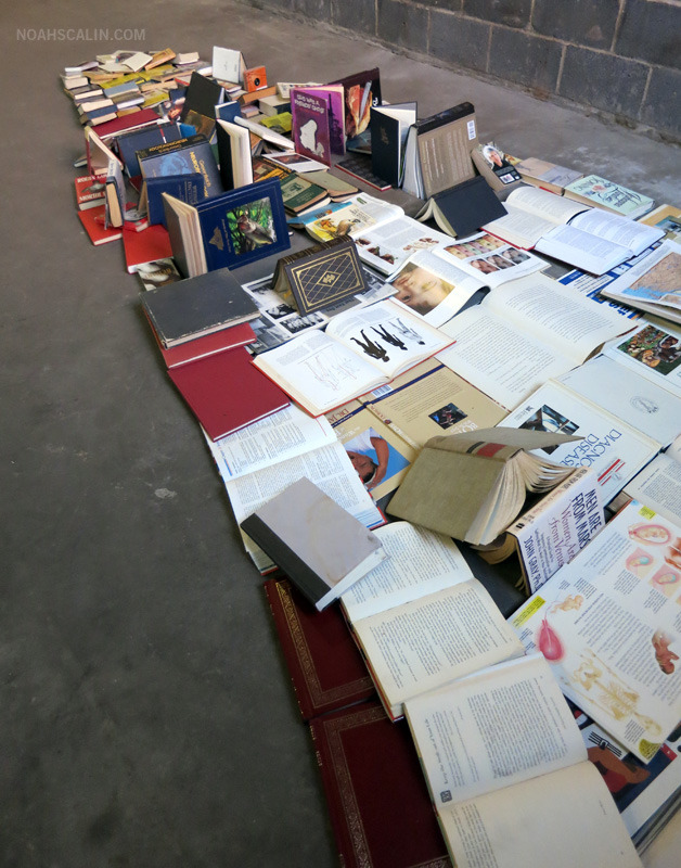 fer1972:  Dead Media 2: A Skull made with Booksby Noah Scalin 