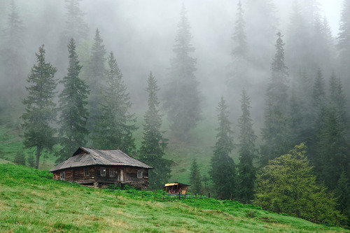 expressions-of-nature:  White Cheremosh, Carpathians by Sergey Lopukhov