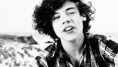 thishorans:  2011 harry  