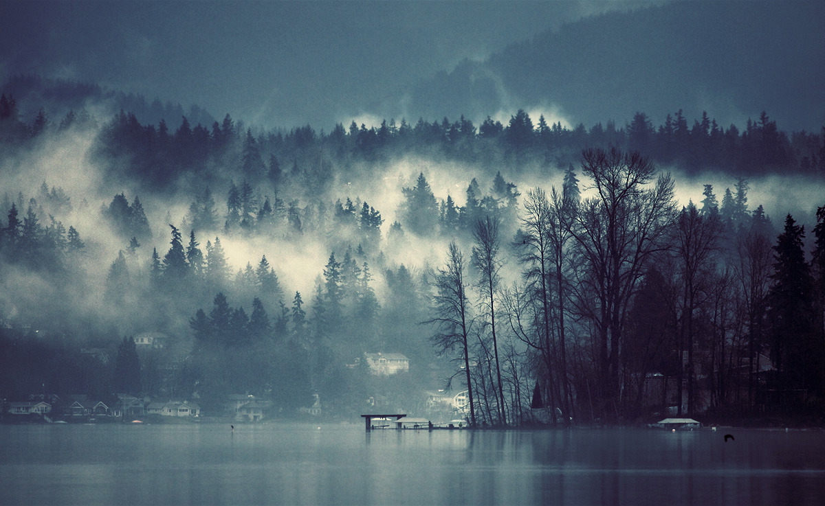 sparth:  fog on Lake Sammamish.2010-2011 